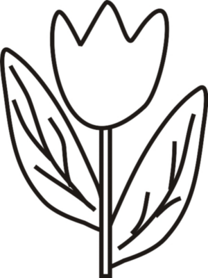 Disegno di fiore da stampare e colorare 137