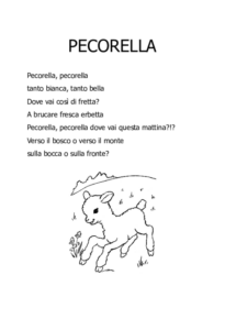 Pecorella