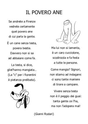 Il povero ane