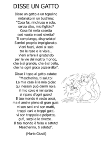 Disse un gatto