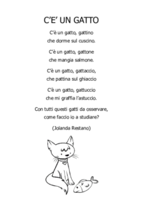 C’è un gatto
