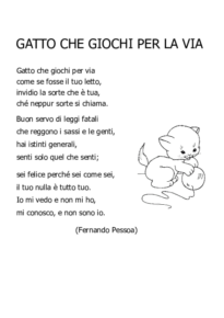 Gatto che giochi per la via
