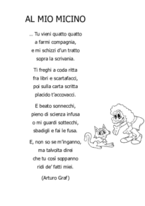 Al mio micino