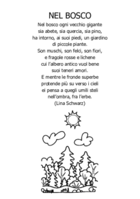Nel bosco
