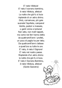 È nato