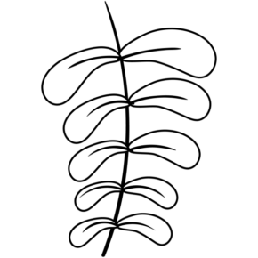 DS1136-01