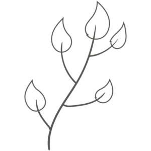 CL1136-14