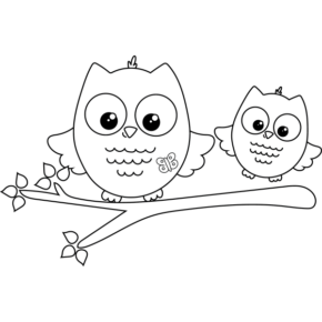 SUMMER OWLS-07