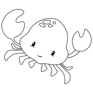 NAUTICAL-06-2