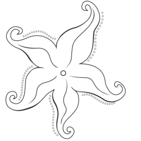 SEA4-2(1)