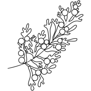 DS1196-08