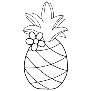 PINEAPPLE-11