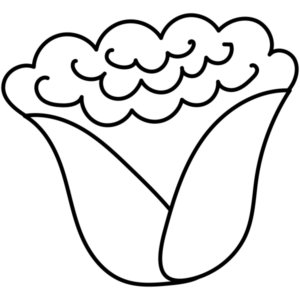 DS1136-12