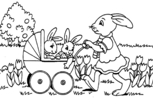 bunny- (12)