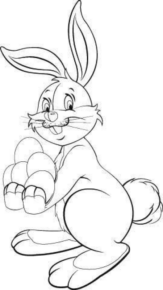 bunny- (16)