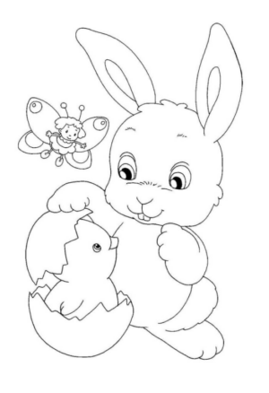 bunny- (21)
