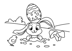 bunny-30836