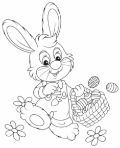 bunny- (3)