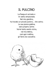 Il Pulcino
