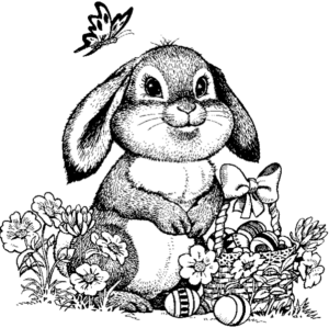 bunny- (1)