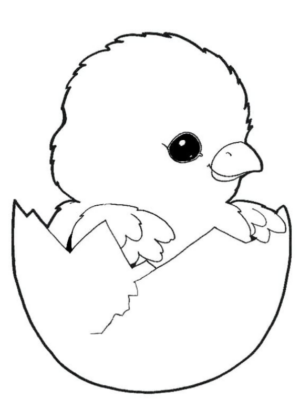 Pulcini-Cartoon-da-colorare-02