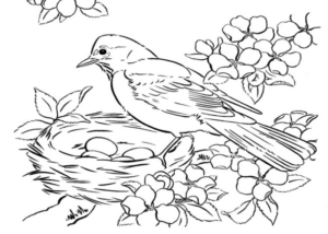 Paesaggi primavera (43)