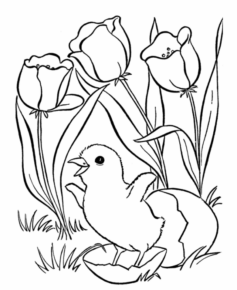 02-easter-chicks