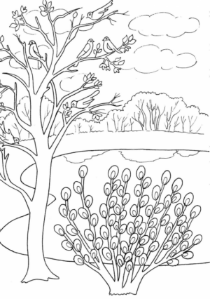Paesaggi primavera (38)
