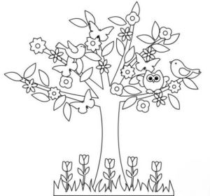 Paesaggi primavera (23)