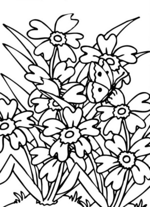 Fiori di primavera