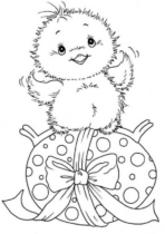 Pulcini di Pasqua
