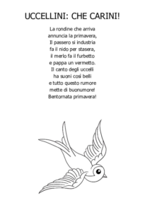 Uccellini che carini