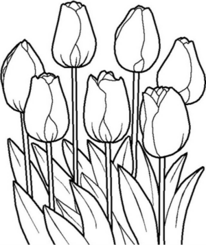 Paesaggi primavera (41)