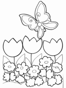 Paesaggi primavera (15)
