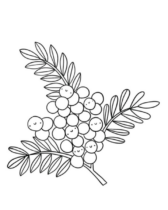 Disegni di Natura da colorare