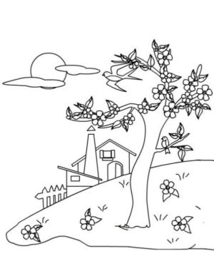 Paesaggi primavera (8)