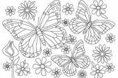 Paesaggi e Fiori