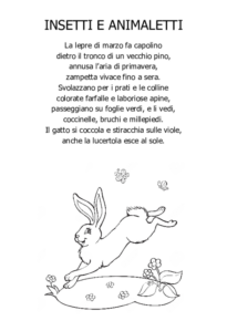 Insetti e animaletti