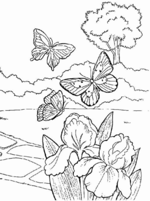Paesaggi primavera (13)