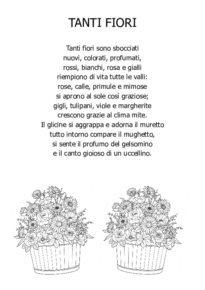 Tanti fiori