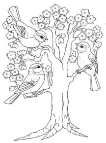 Paesaggi primavera (12)
