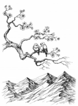 Paesaggi e Fiori