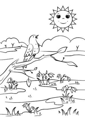 Paesaggi primavera (39)