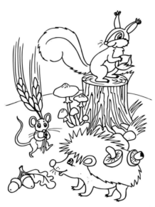 Paesaggi primavera (24)