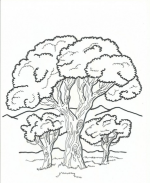 Tre grandi alberi da colorare