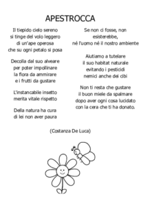 ApeStrocca