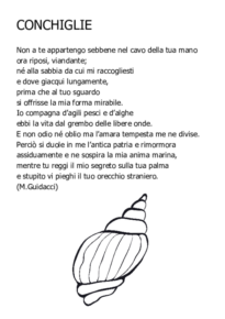 Conchiglie (M.Guidacci)