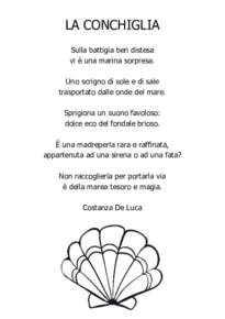 La conchiglia