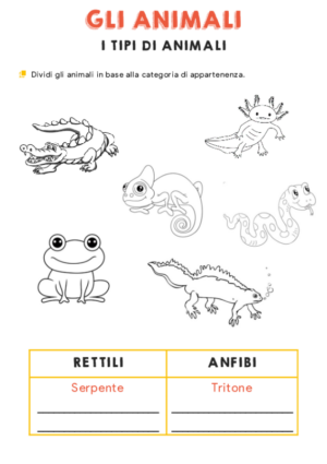 Gli animali – Rettili e anfibi