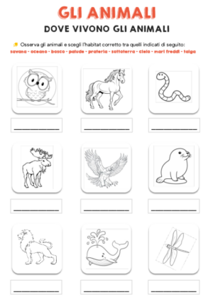 Dove vivono gli animali – scrivi  3